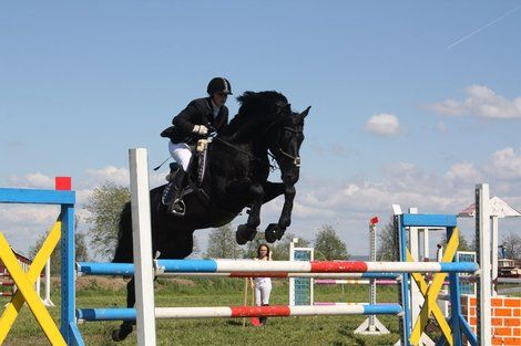 Toris võistlesid ratsasportlased. Foto Krista Sepp